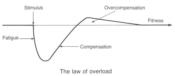 Overload principle and activity progression
